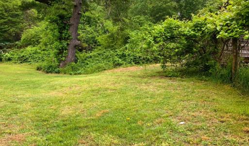 Photo #3 of 8507 FLEMING ROAD, WALLOPS ISLAND, VA 70.0 acres