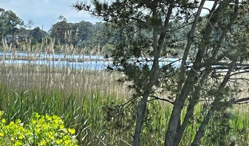 Photo #56 of 7205 BUNTING RD, CHINCOTEAGUE, VA 0.1 acres