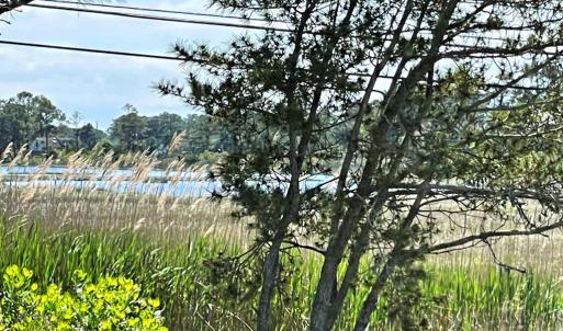 Photo #73 of 7205 BUNTING RD, CHINCOTEAGUE, VA 0.1 acres