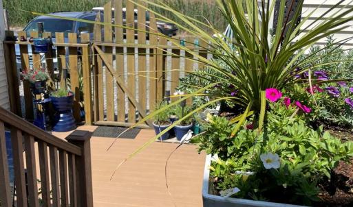 Photo #77 of 7205 BUNTING RD, CHINCOTEAGUE, VA 0.1 acres