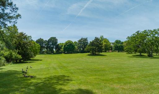 Lawn
