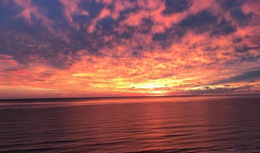 Photo #13 of 5770 PEACEFUL WAY, JAMESVILLE, VA 5.6 acres