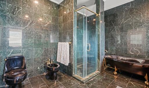 Photo #44 of 5770 PEACEFUL WAY, JAMESVILLE, VA 5.6 acres