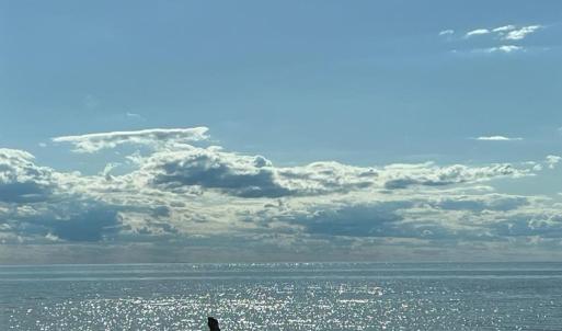 Photo #56 of 5770 PEACEFUL WAY, JAMESVILLE, VA 5.6 acres