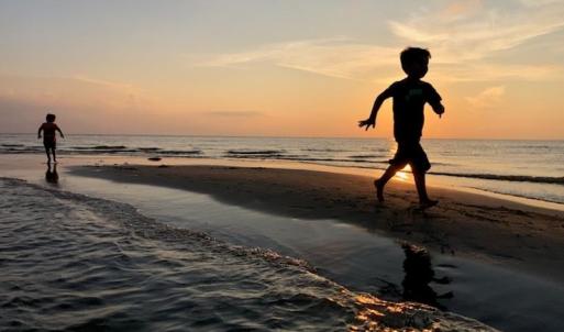 Photo #59 of 5770 PEACEFUL WAY, JAMESVILLE, VA 5.6 acres