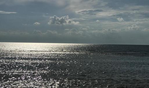 Photo #61 of 5770 PEACEFUL WAY, JAMESVILLE, VA 5.6 acres