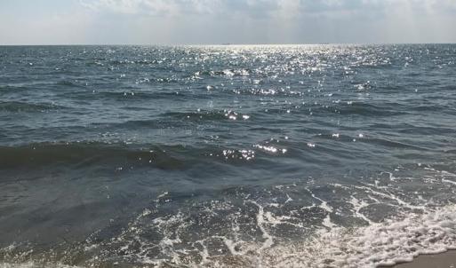 Photo #62 of 5770 PEACEFUL WAY, JAMESVILLE, VA 5.6 acres