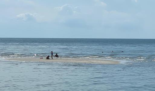 Photo #57 of 5770 PEACEFUL WAY, JAMESVILLE, VA 5.6 acres