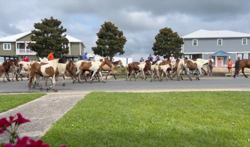 Photo #2 of 3508 MAIN ST, CHINCOTEAGUE, VA 0.3 acres