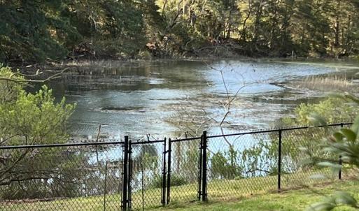 Photo #12 of 24385 DIX FARM DR, ACCOMAC, VA 3.3 acres