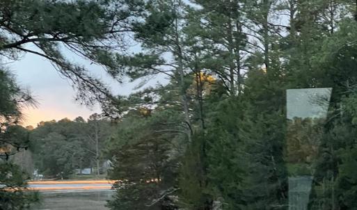 Photo #13 of 24385 DIX FARM DR, ACCOMAC, VA 3.3 acres