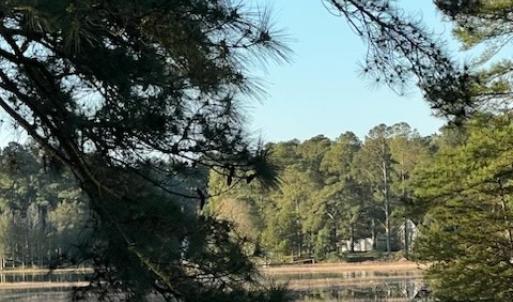 Photo #6 of 24385 DIX FARM DR, ACCOMAC, VA 3.3 acres