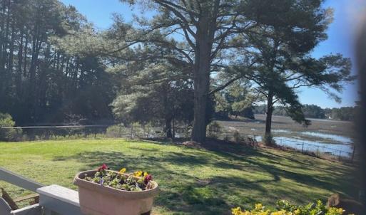 Photo #7 of 24385 DIX FARM DR, ACCOMAC, VA 3.3 acres