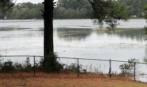 Photo #9 of 24385 DIX FARM DR, ACCOMAC, VA 3.3 acres
