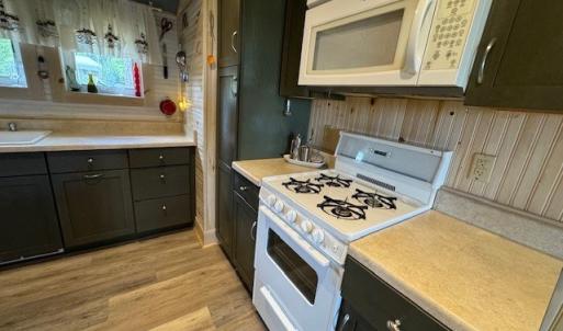 Photo #10 of 35070* PIN OAK, HORNTOWN, VA 0.2 acres