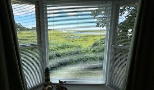 Photo #11 of 35070* PIN OAK, HORNTOWN, VA 0.2 acres