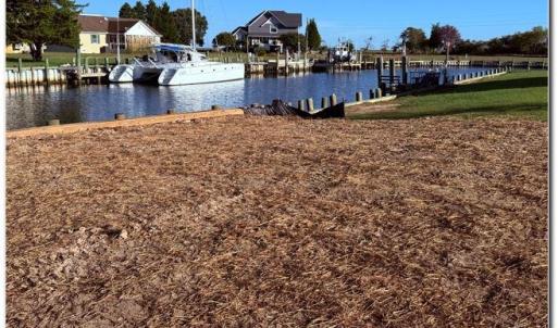 Photo #40 of 20270 CANVASBACK LN, ONANCOCK, VA 0.6 acres