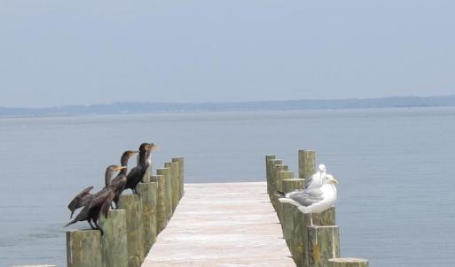 Photo #4 of 2522 MAIN ST, CHINCOTEAGUE, VA 0.2 acres