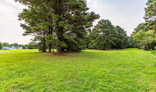 Rear Yard