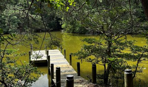 Photo #38 of 7086 LONG POINT RD, EXMORE, VA 8.5 acres