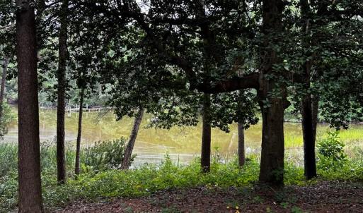 Photo #37 of 7086 LONG POINT RD, EXMORE, VA 8.5 acres