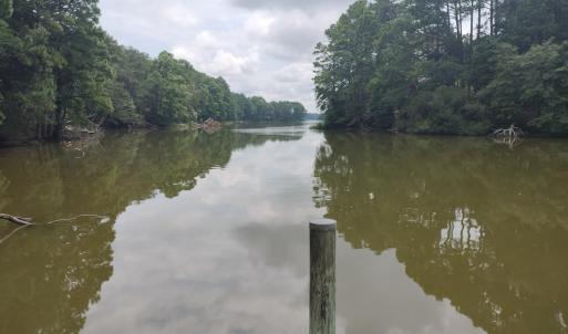 Photo #7 of 7086 LONG POINT RD, EXMORE, VA 8.5 acres