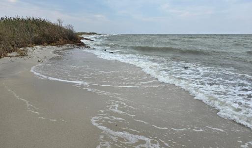 Photo #4 of 16246 MAIN RIDGE RD, TANGIER, VA 0.2 acres