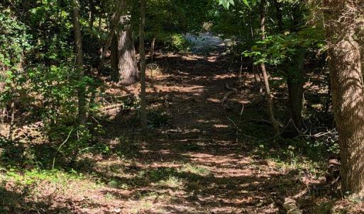 Photo #49 of 7261 HALLIDON DR, FRANKTOWN, VA 100.7 acres