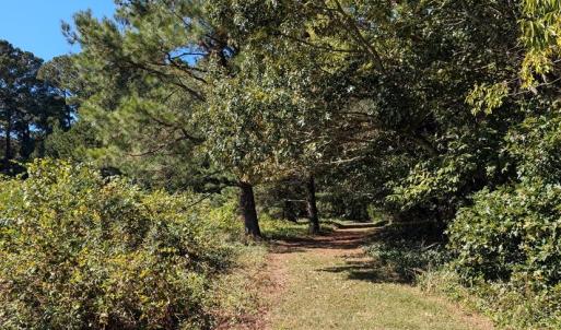 Photo #50 of 7261 HALLIDON DR, FRANKTOWN, VA 100.7 acres