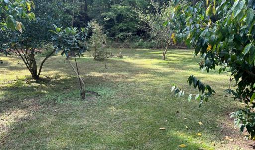 Photo #12 of 26491 MASON RD, BLOXOM, VA 9.5 acres