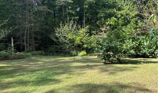 Photo #14 of 26491 MASON RD, BLOXOM, VA 9.5 acres