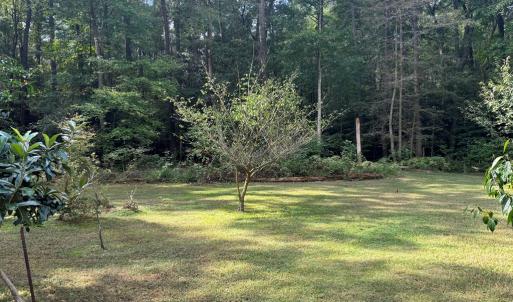 Photo #15 of 26491 MASON RD, BLOXOM, VA 9.5 acres
