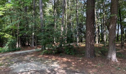 Photo #16 of 26491 MASON RD, BLOXOM, VA 9.5 acres