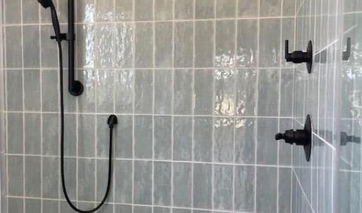 Primary Shower