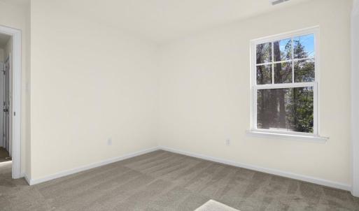 Photo #18 of 2486 DRY DOCK CT, GREENBACKVILLE, VA 58.0 acres