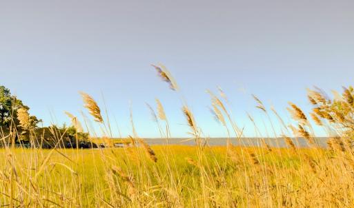 Photo #82 of 5557 MAIN ST, CHINCOTEAGUE, VA 5.6 acres
