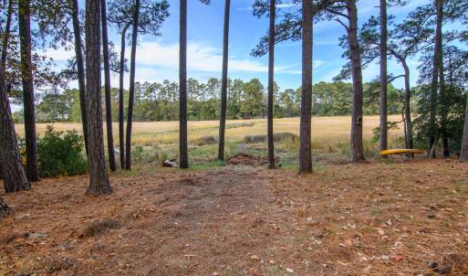 Photo #37 of 22170 BARNES CIR, PARKSLEY, VA 1.2 acres