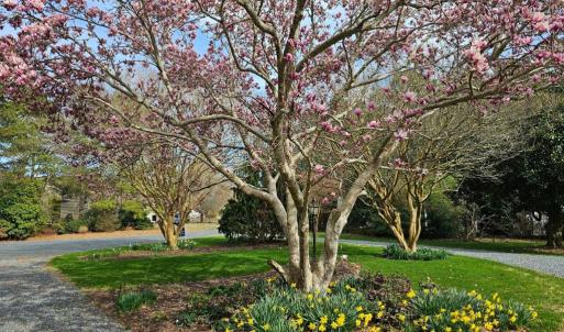 Photo #5 of 10388 HIGHLAND CT, EXMORE, VA 1.4 acres