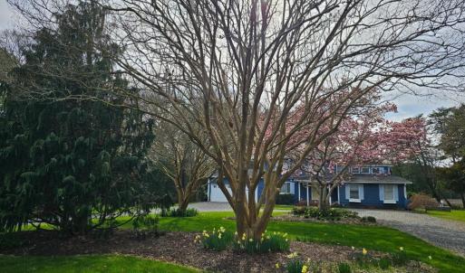 Photo #8 of 10388 HIGHLAND CT, EXMORE, VA 1.4 acres