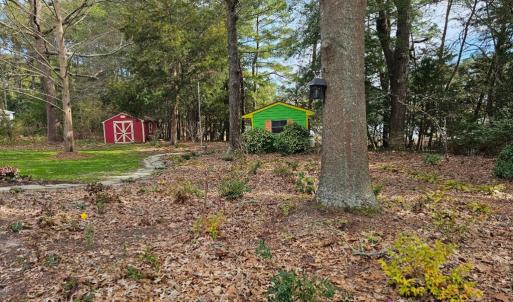 Photo #10 of 10388 HIGHLAND CT, EXMORE, VA 1.4 acres