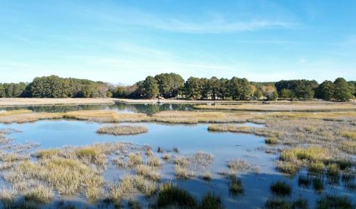 Photo #93 of 25135 MOUNT OREGON DR, ACCOMAC, VA 1.0 acres