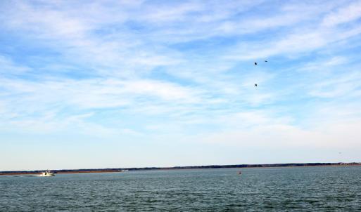Photo #20 of 2383 - 1 MAIN ST, CHINCOTEAGUE, VA 0.3 acres
