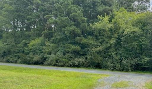 Photo #2 of 227 SMUGGLERS WAY, GREENBACKVILLE, VA 9,750.0 acres
