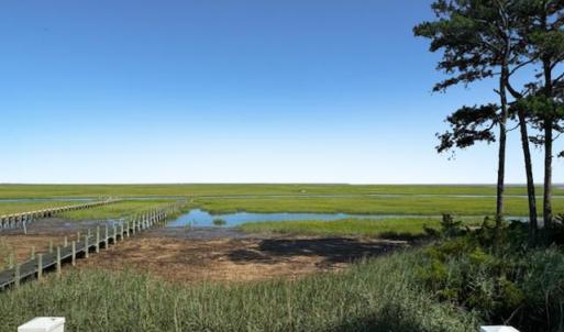 Photo #54 of 26385 SEA BREEZE DR, ACCOMAC, VA 3.6 acres