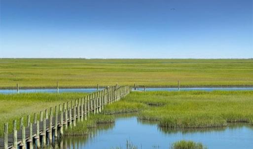 Photo #55 of 26385 SEA BREEZE DR, ACCOMAC, VA 3.6 acres