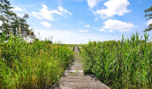 Photo #8 of 26385 SEA BREEZE DR, ACCOMAC, VA 3.6 acres