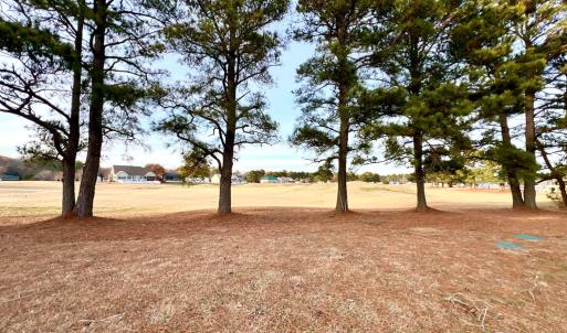 Photo #8 of 3102 CUTTER CT, GREENBACKVILLE, VA 0.2 acres