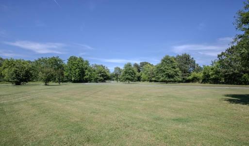 Photo #43 of 19220 MINK FARM RD, ONANCOCK, VA 6.2 acres