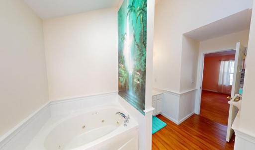 Photo #15 of 2447 BRIGANTINE BLVD, GREENBACKVILLE, VA 9.0 acres