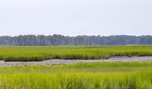 Photo #49 of 7622 EAST SIDE RD, CHINCOTEAGUE, VA